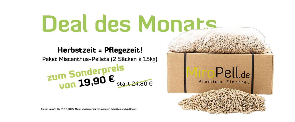 Deal des Monats: October (MiroPell)